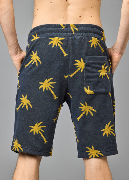 THE DUDE SHORTS SEA STORM